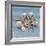 Shell Collection III-Bill Philip-Framed Giclee Print