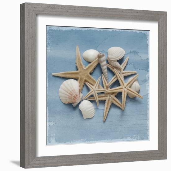 Shell Collection III-Bill Philip-Framed Giclee Print