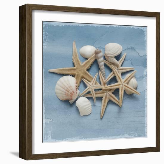 Shell Collection III-Bill Philip-Framed Giclee Print