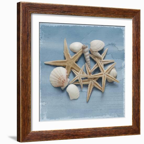 Shell Collection III-Bill Philip-Framed Giclee Print