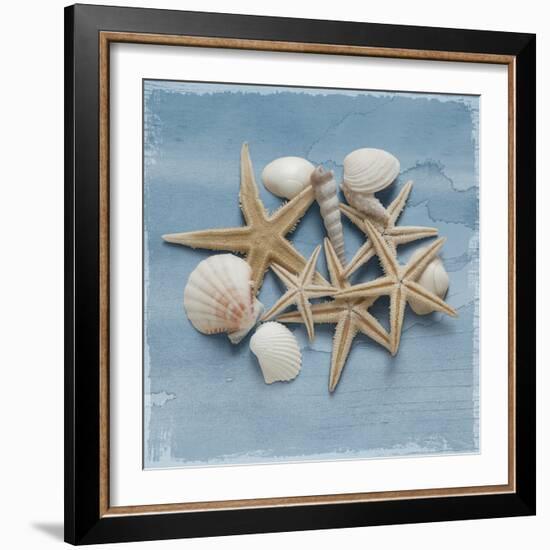 Shell Collection III-Bill Philip-Framed Giclee Print