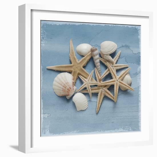 Shell Collection III-Bill Philip-Framed Giclee Print