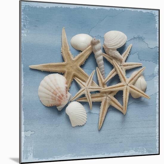 Shell Collection III-Bill Philip-Mounted Giclee Print