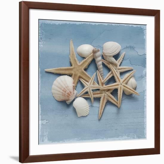 Shell Collection III-Bill Philip-Framed Giclee Print