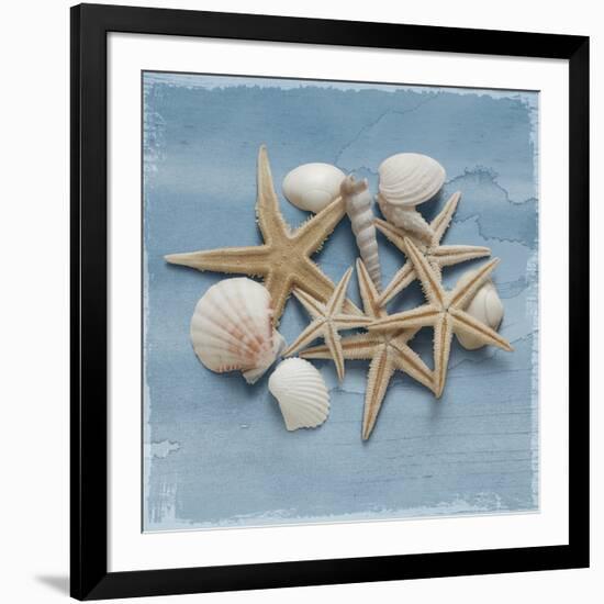 Shell Collection III-Bill Philip-Framed Giclee Print