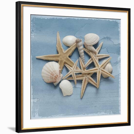 Shell Collection III-Bill Philip-Framed Giclee Print