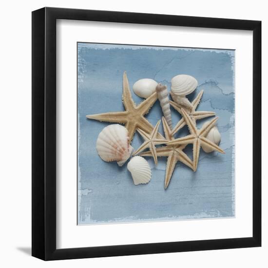 Shell Collection III-Bill Philip-Framed Giclee Print