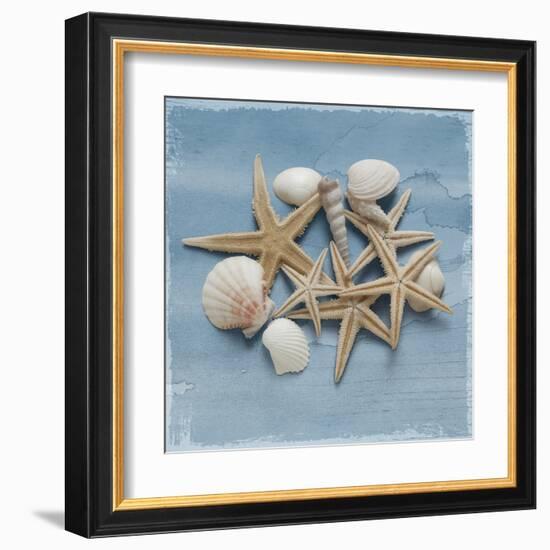 Shell Collection III-Bill Philip-Framed Giclee Print