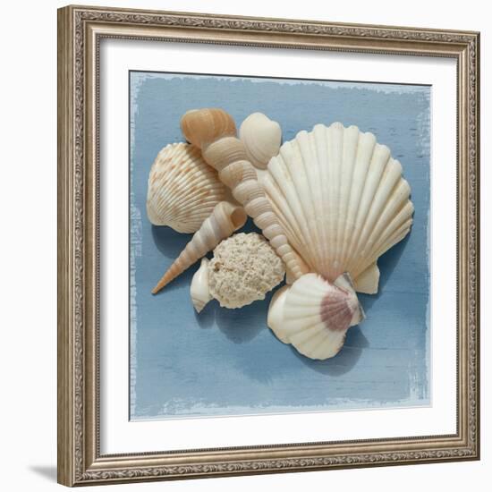 Shell Collection IV-Bill Philip-Framed Giclee Print