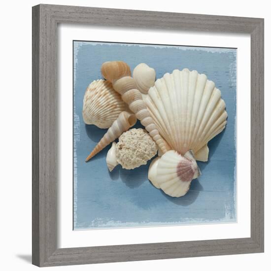 Shell Collection IV-Bill Philip-Framed Giclee Print