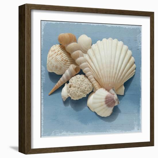 Shell Collection IV-Bill Philip-Framed Giclee Print