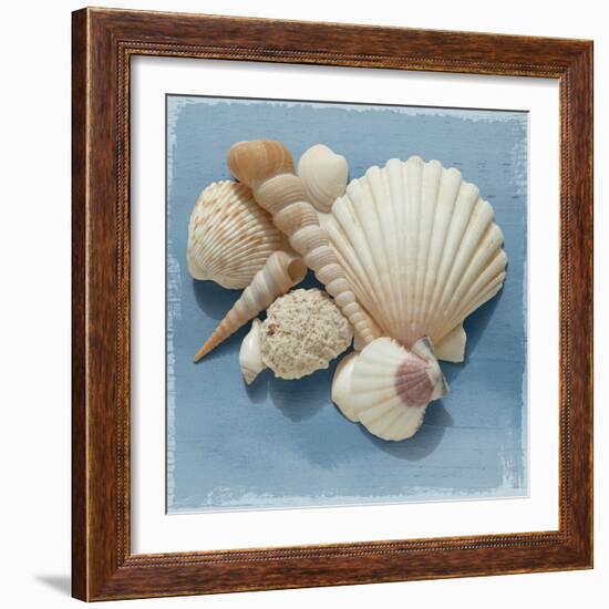 Shell Collection IV-Bill Philip-Framed Giclee Print