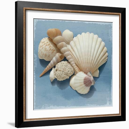 Shell Collection IV-Bill Philip-Framed Giclee Print