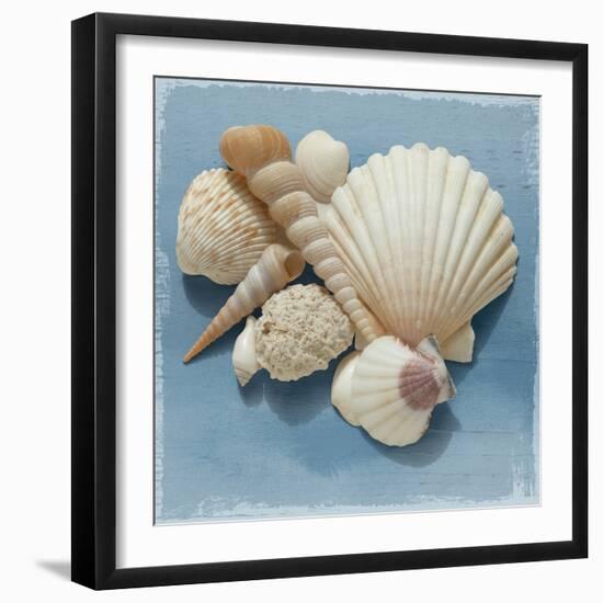 Shell Collection IV-Bill Philip-Framed Giclee Print