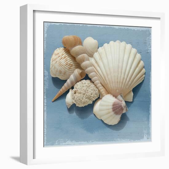 Shell Collection IV-Bill Philip-Framed Giclee Print