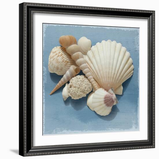 Shell Collection IV-Bill Philip-Framed Giclee Print