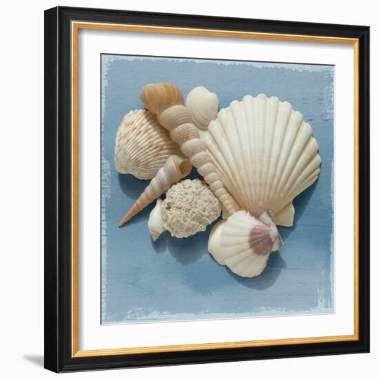 Shell Collection IV-Bill Philip-Framed Giclee Print