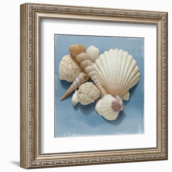 Shell Collection IV-Bill Philip-Framed Art Print