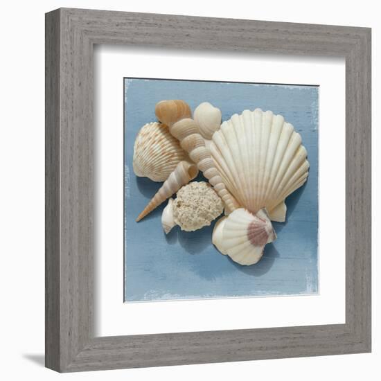 Shell Collection IV-Bill Philip-Framed Art Print