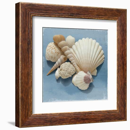 Shell Collection IV-Bill Philip-Framed Art Print