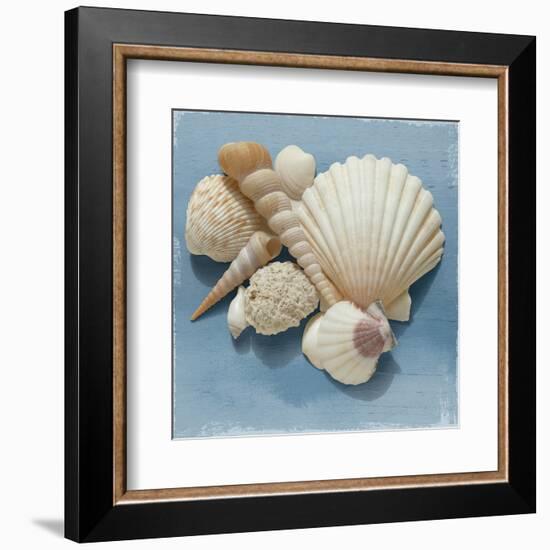 Shell Collection IV-Bill Philip-Framed Art Print