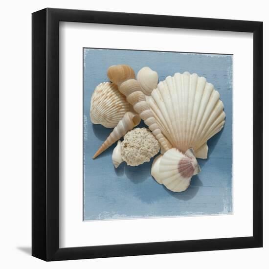 Shell Collection IV-Bill Philip-Framed Art Print