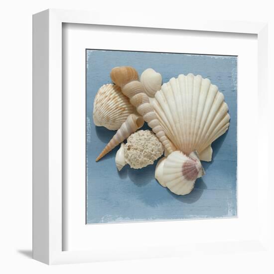 Shell Collection IV-Bill Philip-Framed Art Print