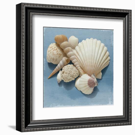 Shell Collection IV-Bill Philip-Framed Art Print