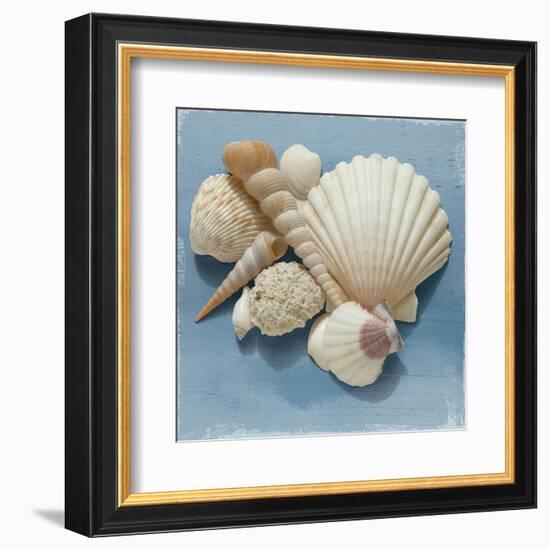 Shell Collection IV-Bill Philip-Framed Art Print