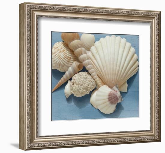 Shell Collection IV-Bill Philip-Framed Giclee Print