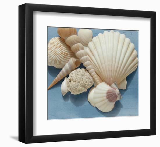 Shell Collection IV-Bill Philip-Framed Giclee Print