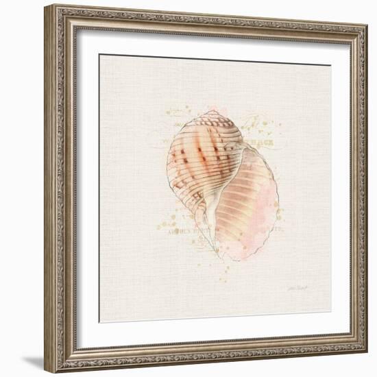 Shell Collector V-Katie Pertiet-Framed Art Print