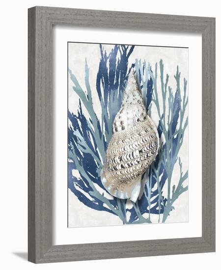 Shell Coral Aqua Blue I-Caroline Kelly-Framed Art Print