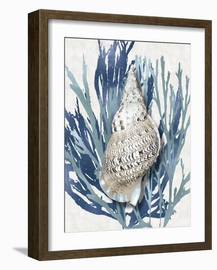 Shell Coral Aqua Blue I-Caroline Kelly-Framed Art Print