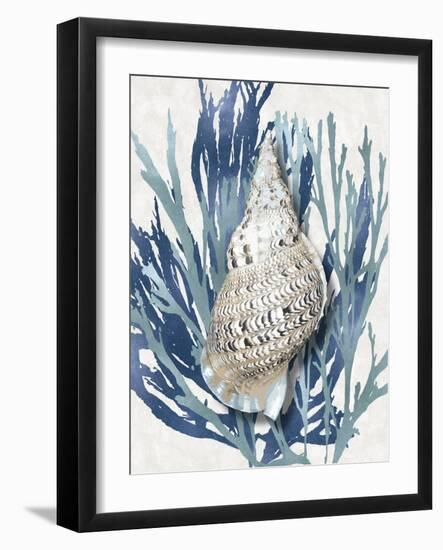 Shell Coral Aqua Blue I-Caroline Kelly-Framed Art Print