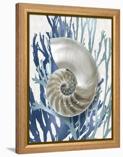 Shell Coral Aqua Blue II-Caroline Kelly-Framed Stretched Canvas