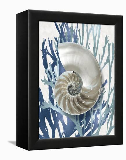 Shell Coral Aqua Blue II-Caroline Kelly-Framed Stretched Canvas