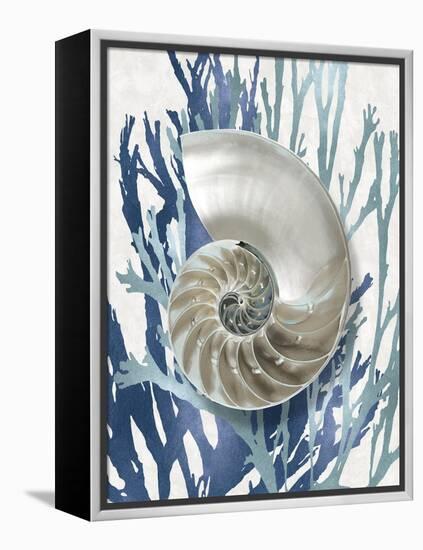 Shell Coral Aqua Blue II-Caroline Kelly-Framed Stretched Canvas