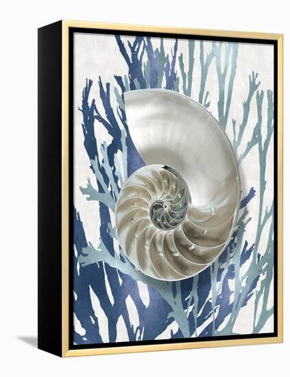 Shell Coral Aqua Blue II-Caroline Kelly-Framed Stretched Canvas