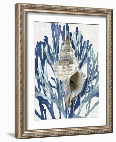 Shell Coral Aqua Blue III-Caroline Kelly-Framed Art Print