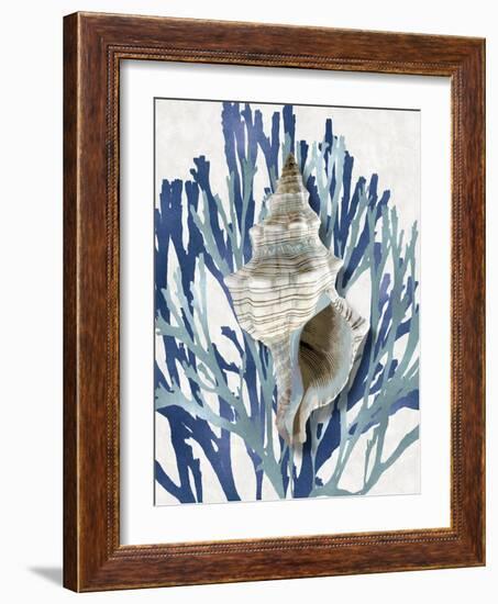 Shell Coral Aqua Blue III-Caroline Kelly-Framed Art Print