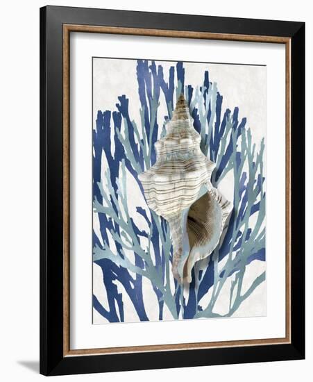 Shell Coral Aqua Blue III-Caroline Kelly-Framed Art Print