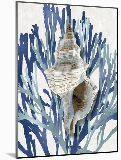 Shell Coral Aqua Blue III-Caroline Kelly-Mounted Art Print