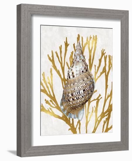 Shell Coral Gold I-Caroline Kelly-Framed Art Print