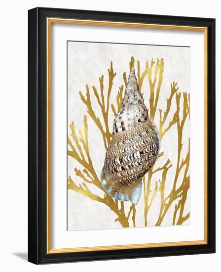 Shell Coral Gold I-Caroline Kelly-Framed Art Print