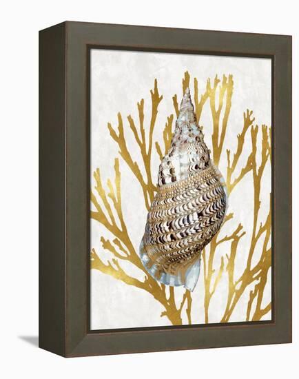 Shell Coral Gold I-Caroline Kelly-Framed Stretched Canvas