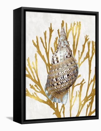 Shell Coral Gold I-Caroline Kelly-Framed Stretched Canvas