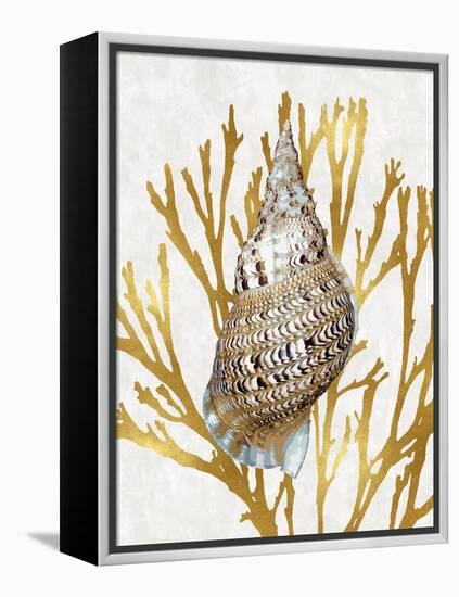 Shell Coral Gold I-Caroline Kelly-Framed Stretched Canvas