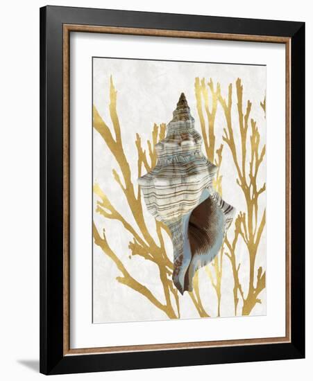 Shell Coral Gold III-Caroline Kelly-Framed Art Print