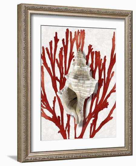 Shell Coral Red III-Caroline Kelly-Framed Art Print